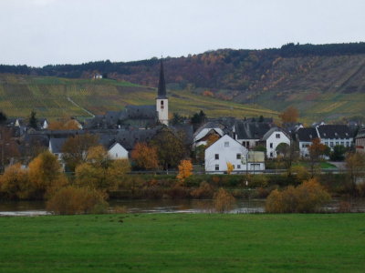 Village on Mosel River