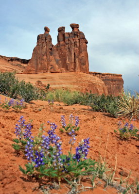 Three Gossips with Blue Bonnets