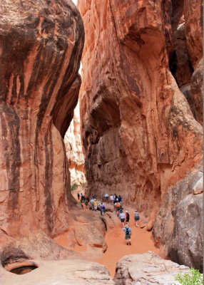 Fiery Furnace tour.  It was actually shady and cool in the shadow of the fins.