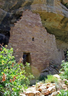 Spruce House cliff dwelling