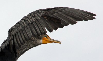g1/89/793789/3/132188617.WOxKGyC6.jpg