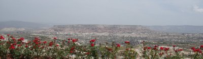 Uchisar:  Flowers with Rose and Red Valleys in the distance