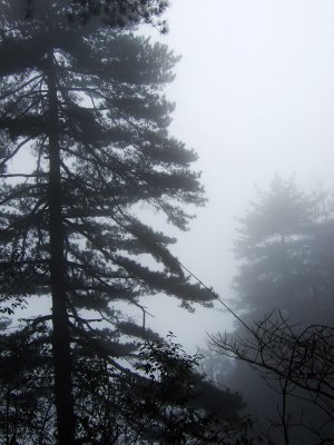 DSCF3670.JPG