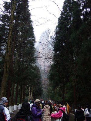 DSCF3696.JPG