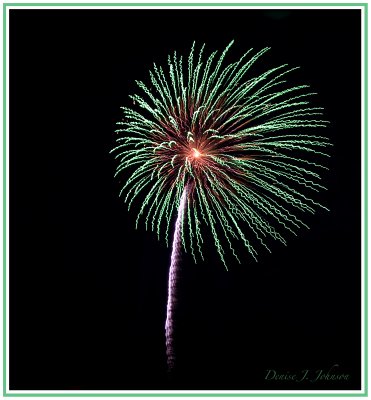 Palm Tree Blowing In The Wind...