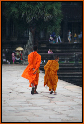 Young Buddhist Monks At Angkor Wat