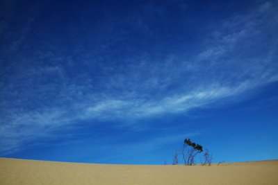 On The Top Of The Sand Dune