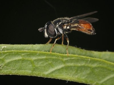 female post coitus