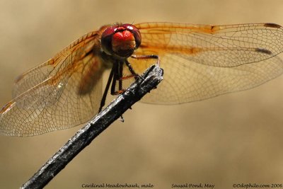 g1/89/829189/3/92332266.GdvT4yEB.jpg