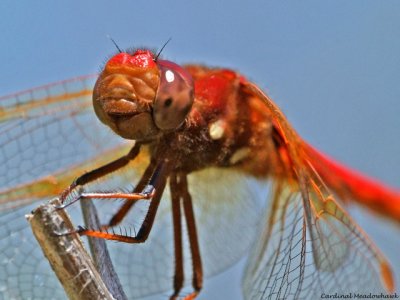 g1/89/829189/3/92364087.bRjS9rhd.jpg