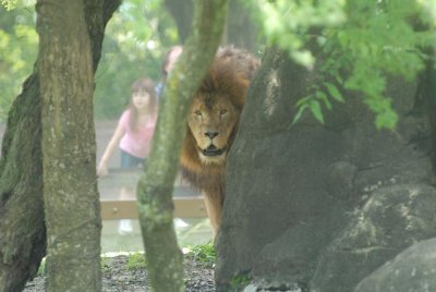 Houston-Zoo