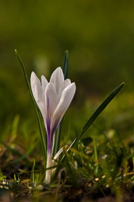 g1/89/851989/3/111019498.dtaSPzux.jpg