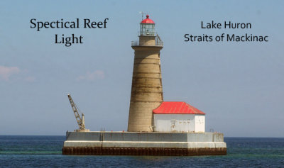 Specitical Reef Light