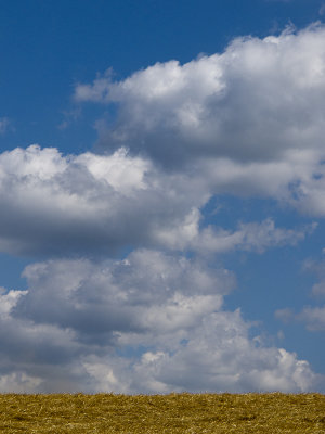 g1/89/858489/3/127417089.BRDNdzTv.jpg