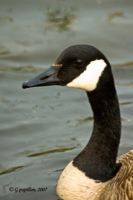 g1/89/863789/3/110515851.3R94jXc3.jpg