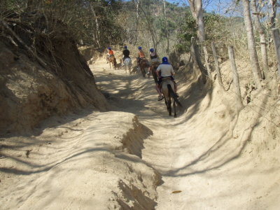 Horse trail through mountain