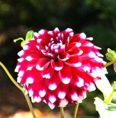 g1/89/865489/3/115894053.4YHSfpvZ.jpg