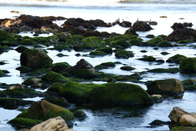 Beach at Schooner Gulch