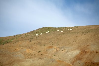 Dots on a Hill