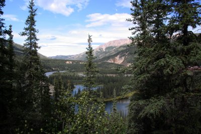 Denali Wilderness