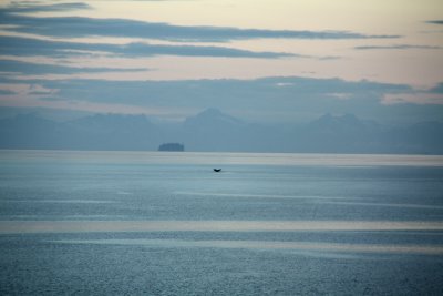 g1/89/865489/3/127845744.F9hAFCiZ.jpg