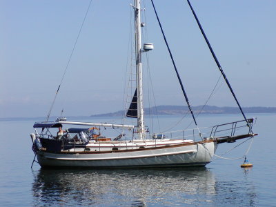 P7170011 (28).JPG