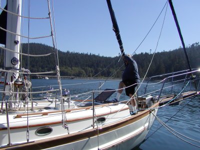 P7170011 (32).JPG