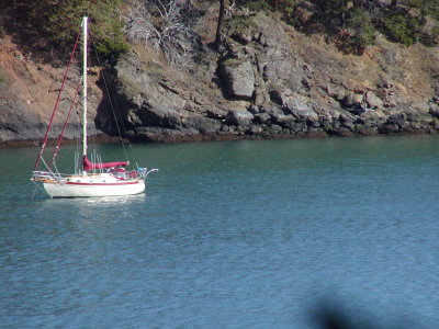 Cypress Lake 002.jpg