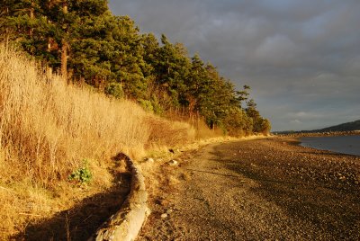 DSC_0035.JPG