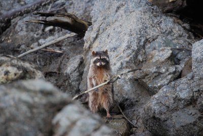 DSC_0092.JPG