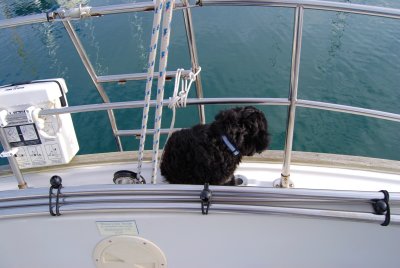 DSC_0072.JPG