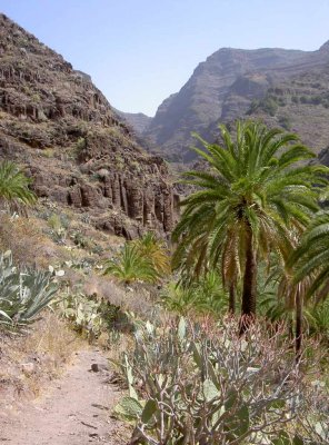 Gomera_2006_194.JPG