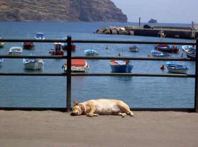 Gomera_2006_487.JPG