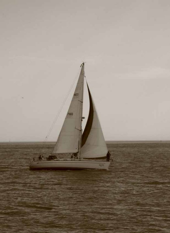 IMG_0177.jpg