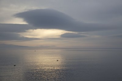 IMG_2105.jpg