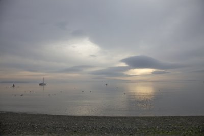 IMG_2106.jpg