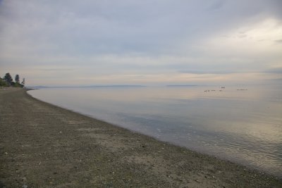IMG_2108.jpg