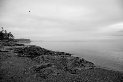 IMG_2113.jpg