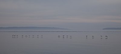 IMG_2127.jpg