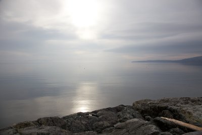IMG_2143.jpg
