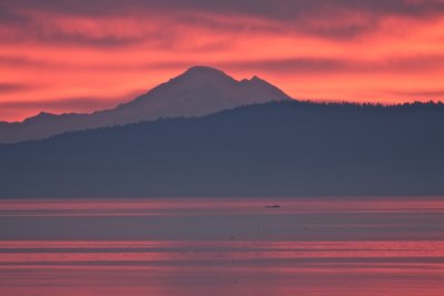Mt Baker in the distance