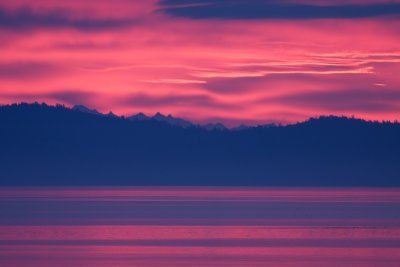 IMG_9277.jpg