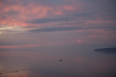 XE1N6816.jpg
