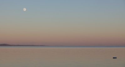 IMG_2161.jpg