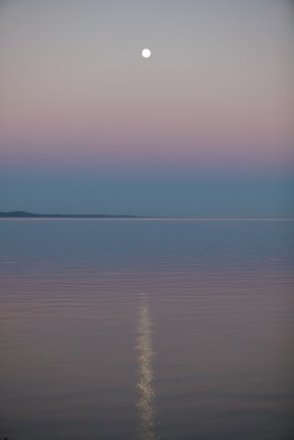 IMG_2172.jpg