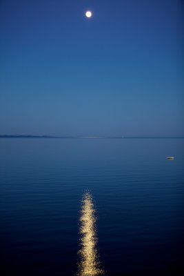 IMG_2178.jpg