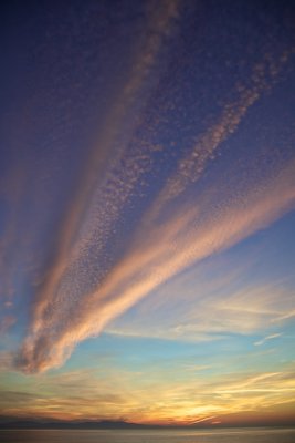 Cordova Bay Moods 089.jpg