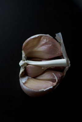 g1/89/952589/3/132097951.zX7ZP0Rf.jpg