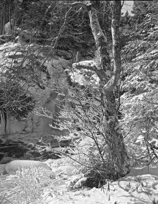 By the frozen waterfall