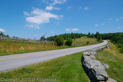 IMGP7831.jpg